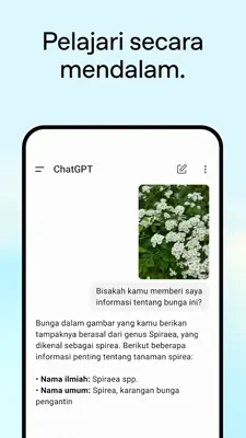 chatgpt mod 4 225x400