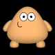 Pou